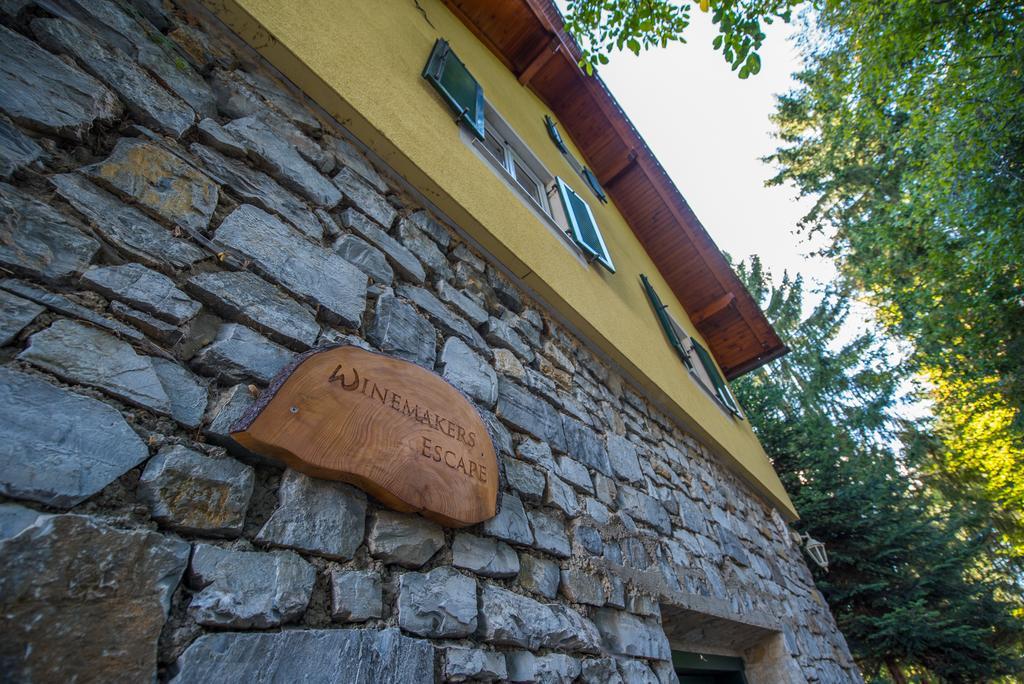 Villa Winemakers Escape Gleisdorf Exterior foto
